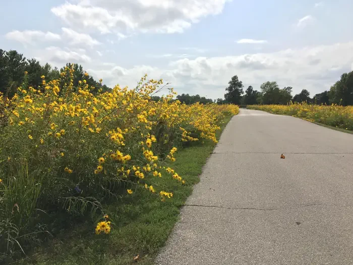 Prairie Flower Recreation Area