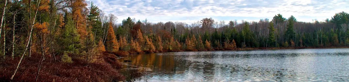 Chequamegon-Nicolet NF