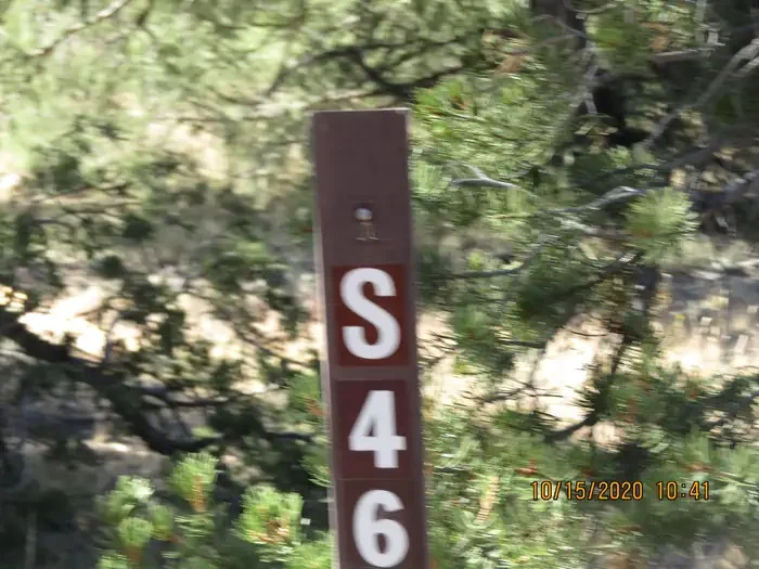 46