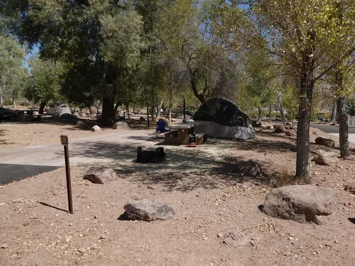 Site 111