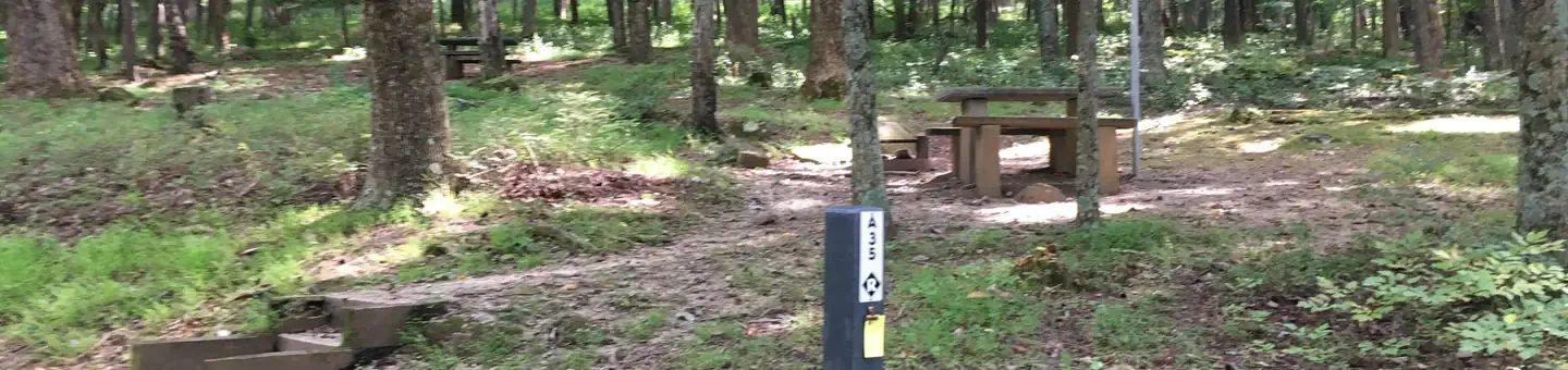 A35