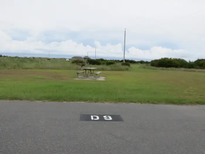 D009