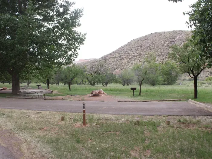 067