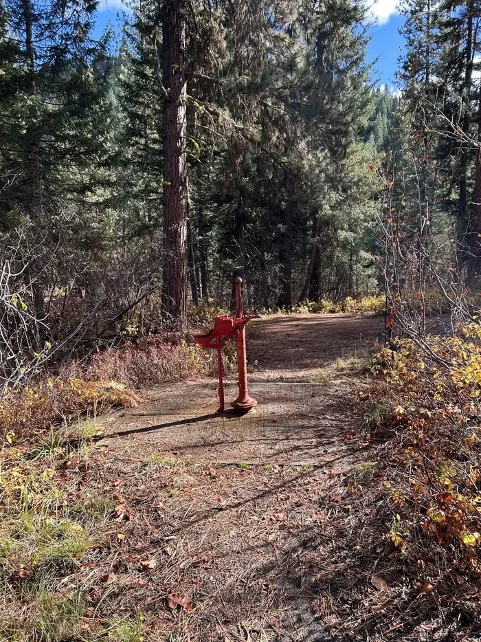 Bad Bear Campground