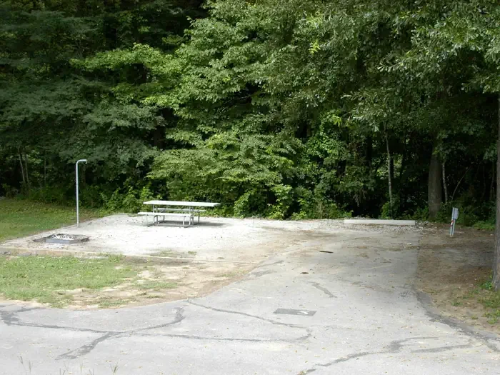A05