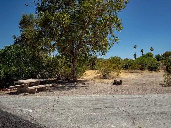 Site 59