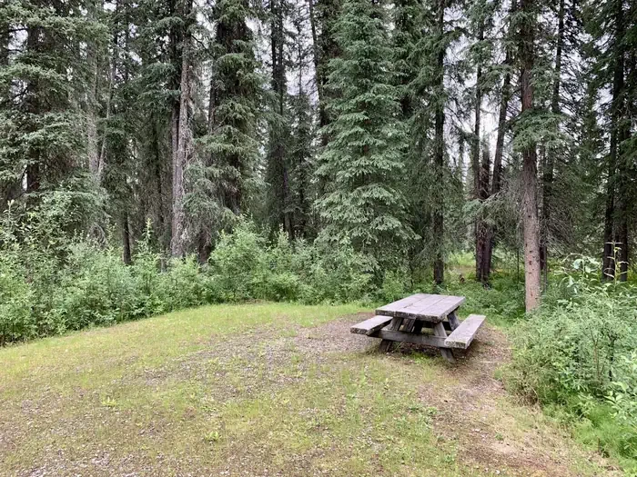 Ophir Creek Campground