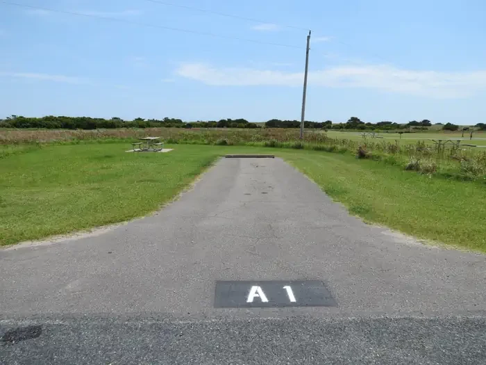 A001