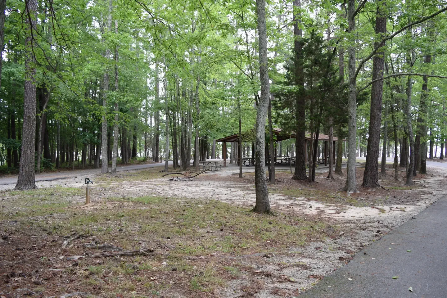 Piney Woods Group Camping Area