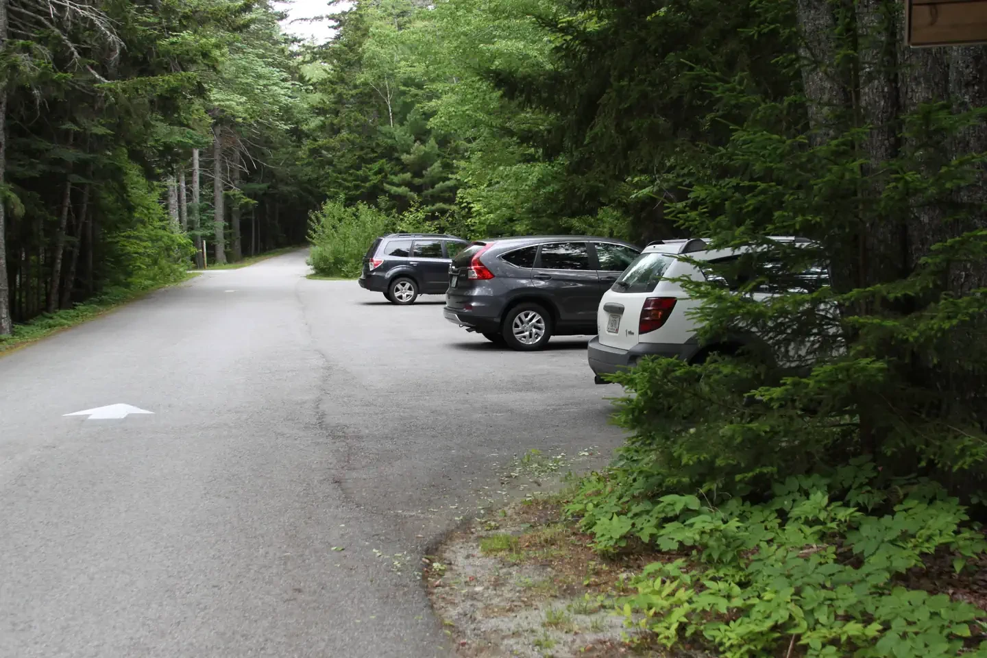 Blackwoods Campground