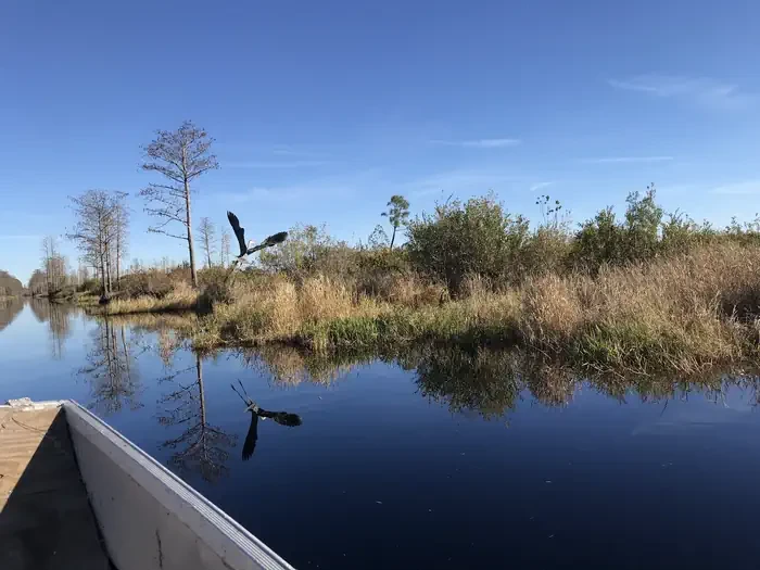 Okefenokee National Wildlife Refuge Overnight Camping Permit