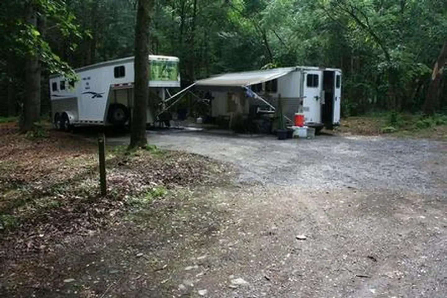 Cataloochee Horse Camp