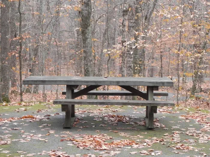 025