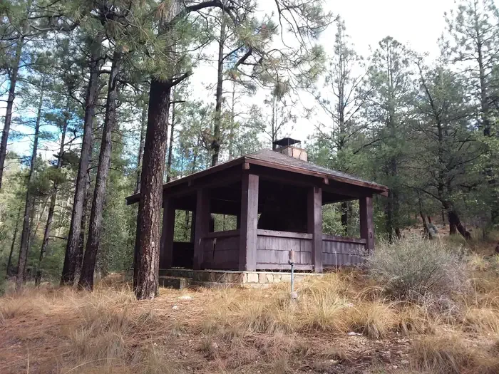 Turney Gulch Group