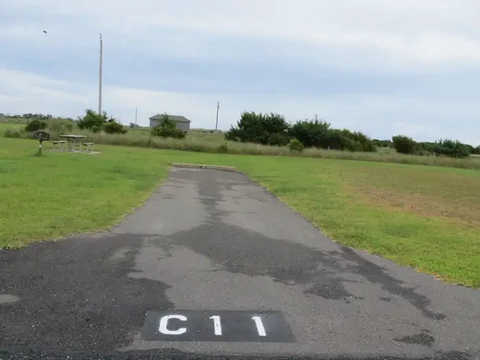 C011