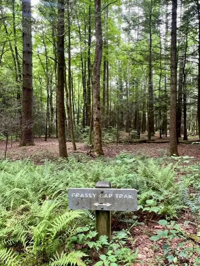 Basin Cove Backcountry Camping