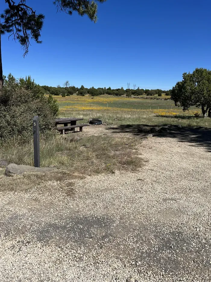 Forked Pine Campground