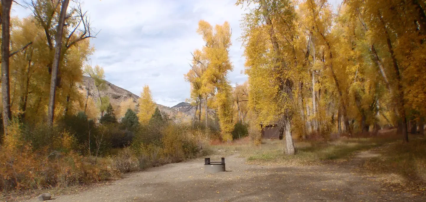 East Elk Creek Group Campsite