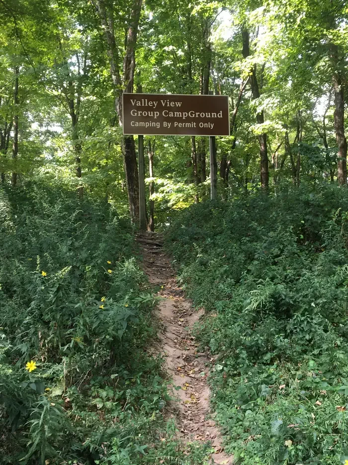 Site #5
