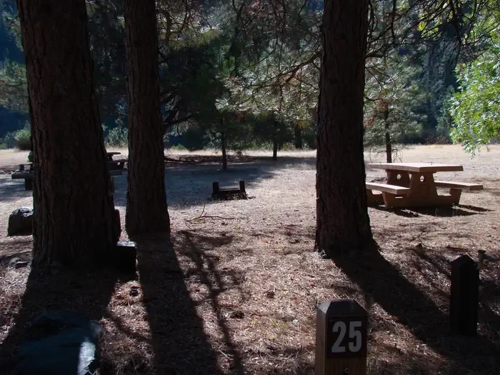 25