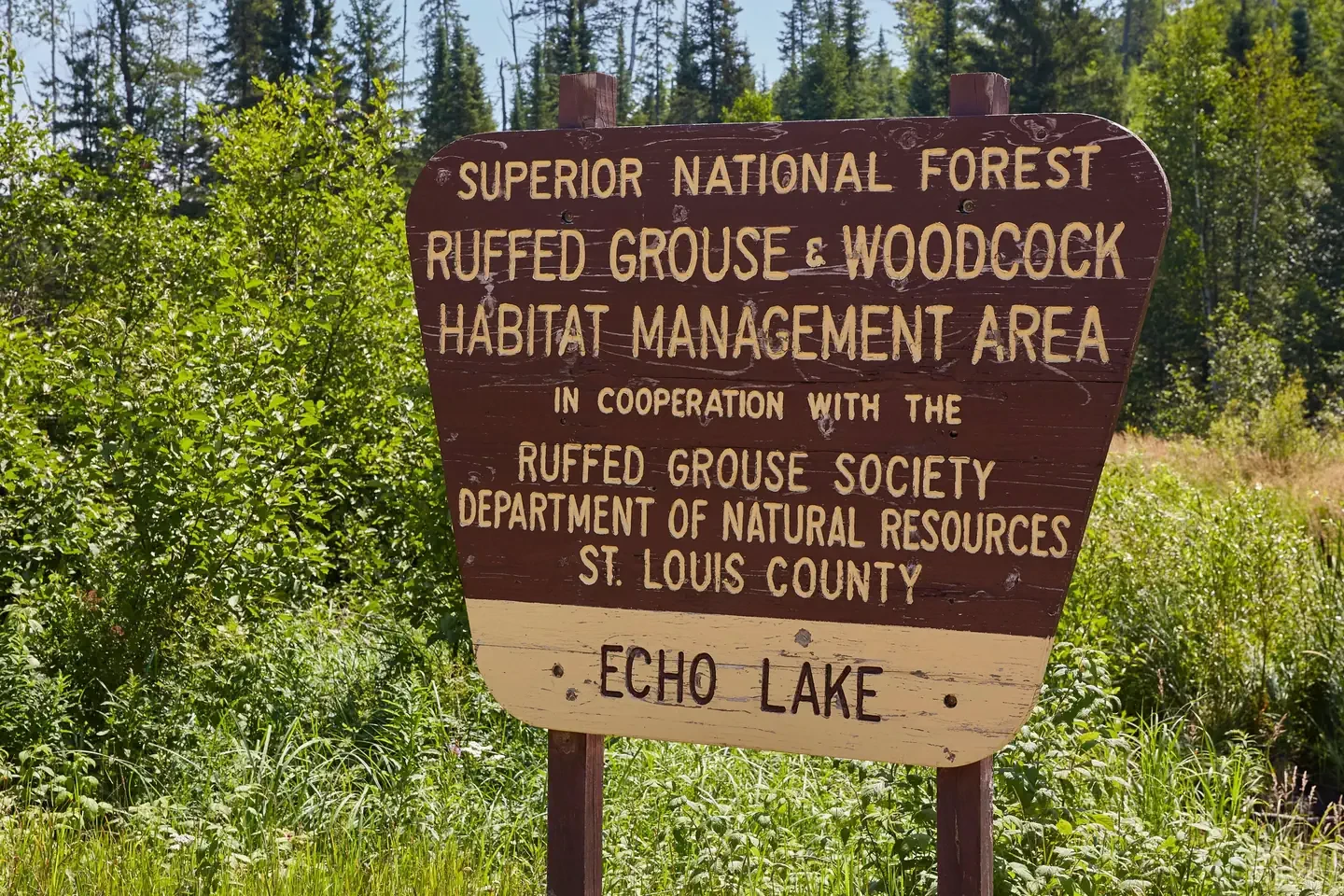 Echo Lake (minn)