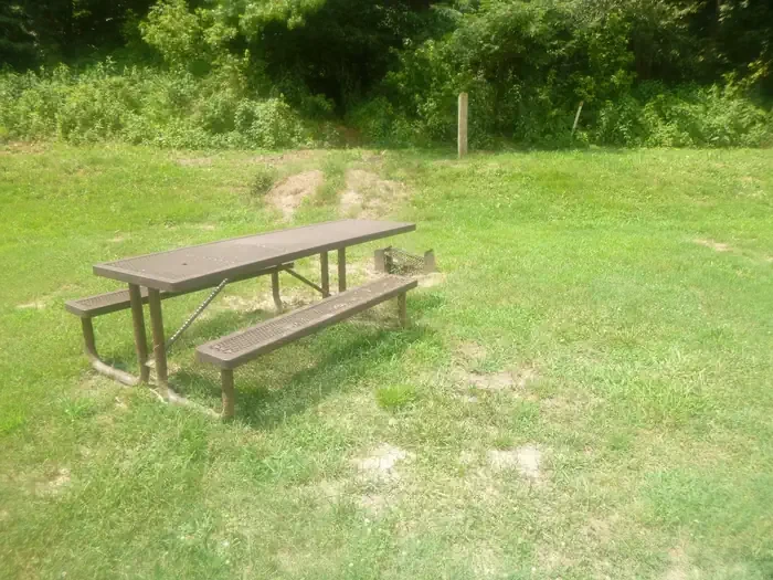 38 - Horse Site