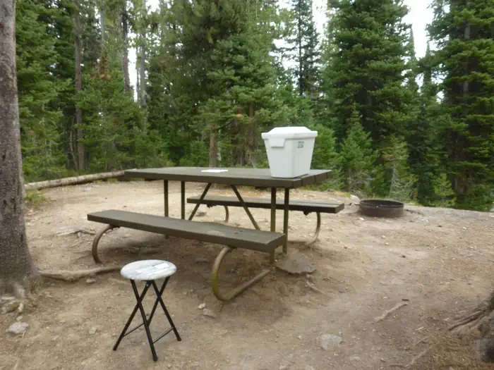 Lewis Lake site #47