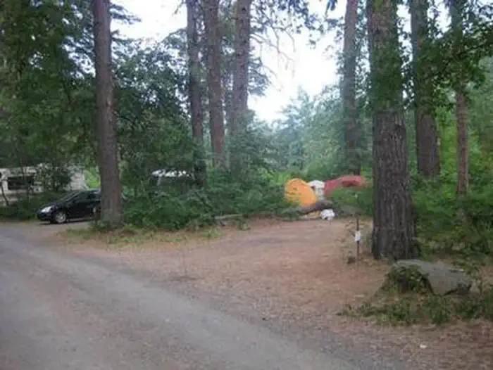 Cottonwood Campground - Naches River (WA)