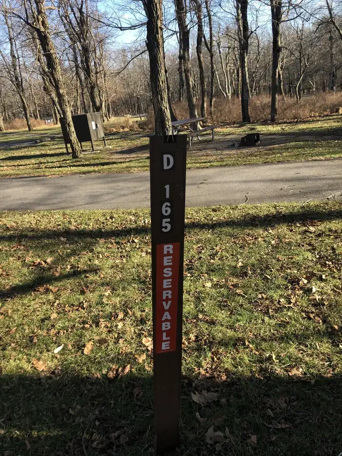 D165