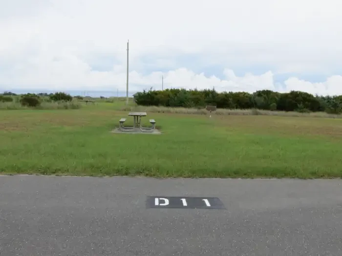 D011