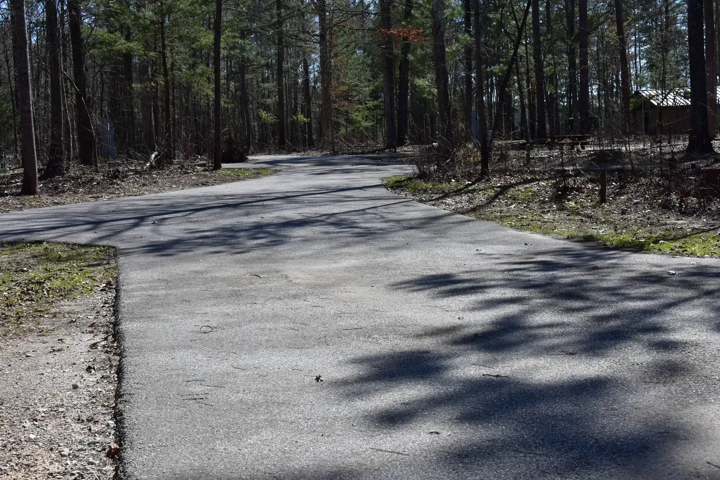 56D
