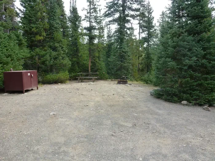 Lewis Lake site #71