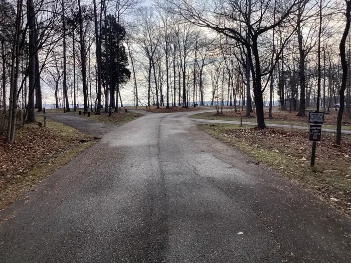 Buzzard Roost Campground