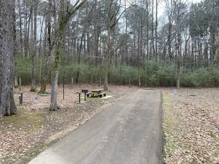 Ford's Well 1