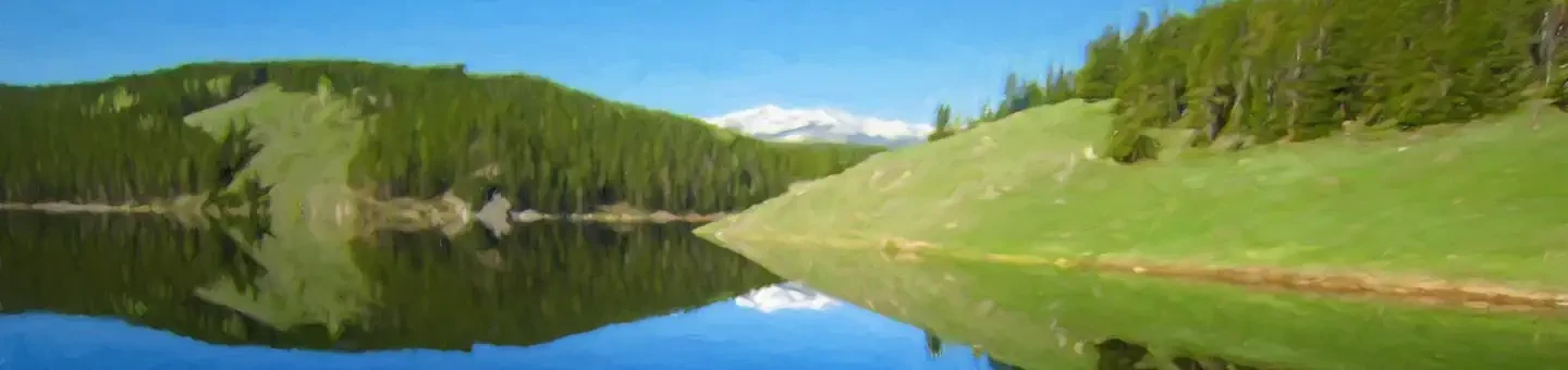 006