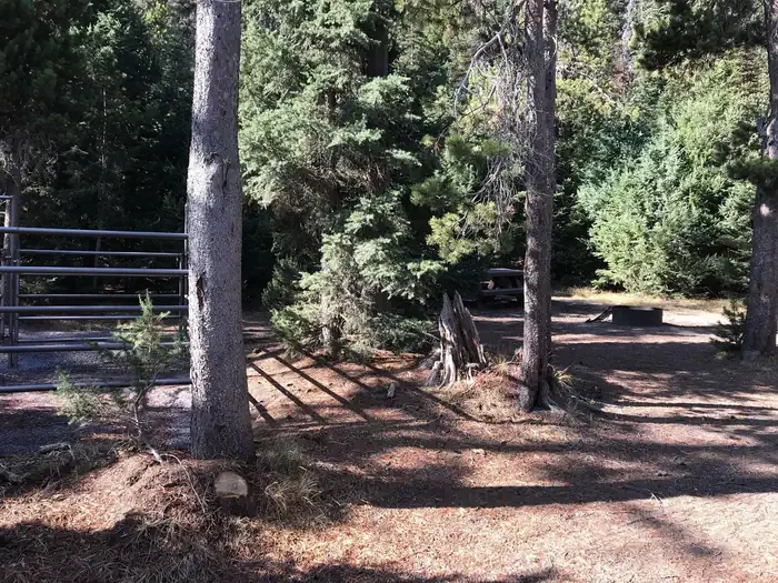 009 - 2 Horse