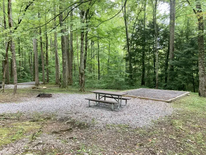 A13