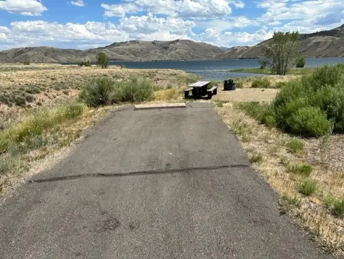 B29