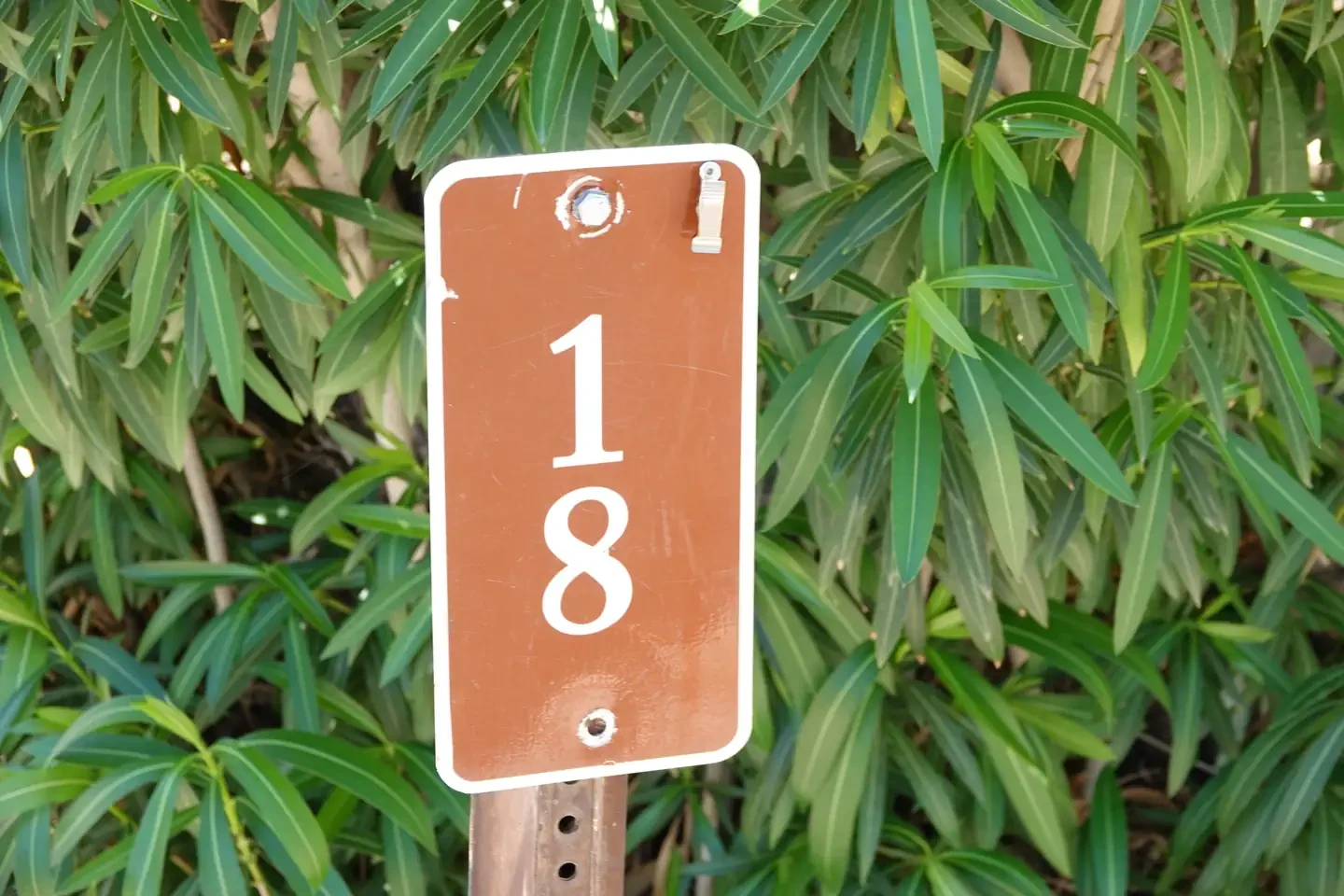 Site 18