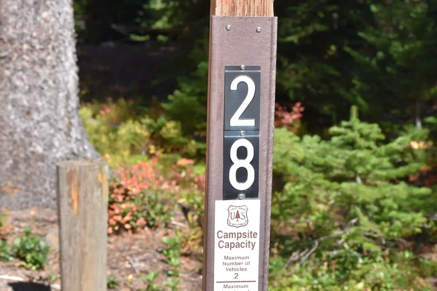 28