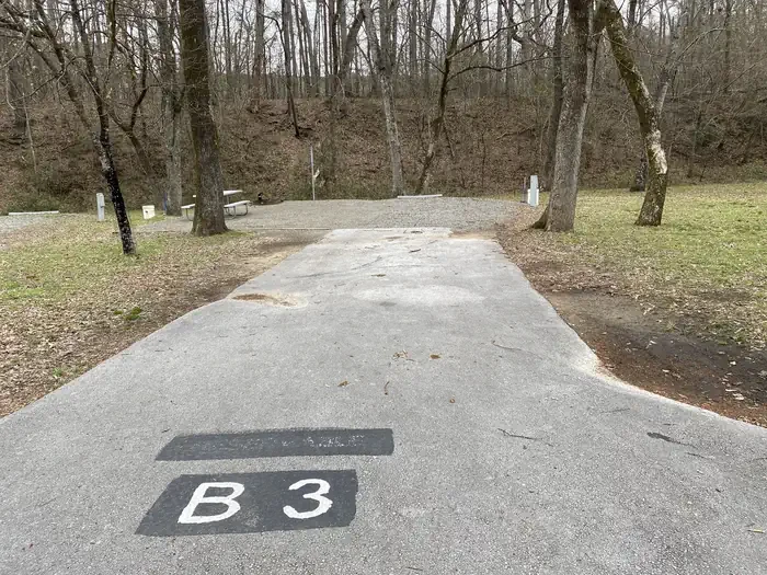 B03