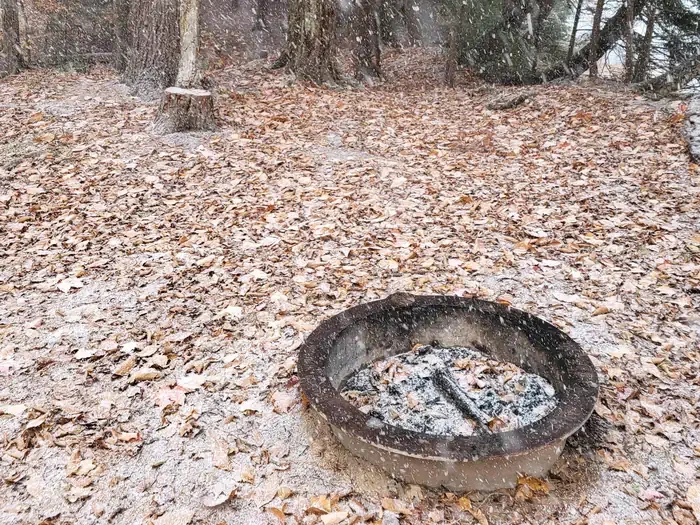 Bass Lake Campsite
