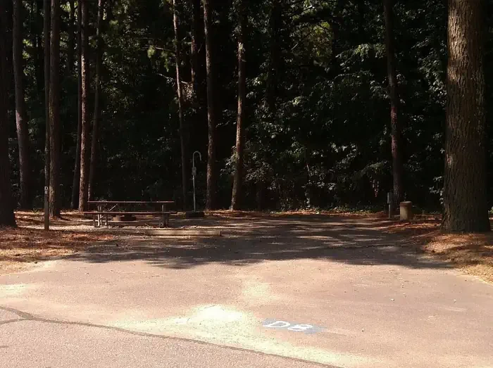 D08