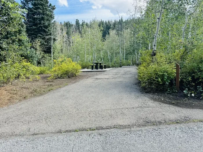B33