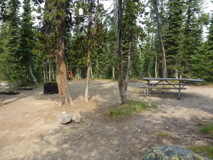 Lewis Lake site #30