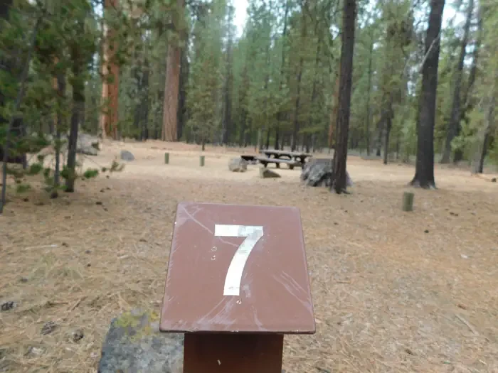 007