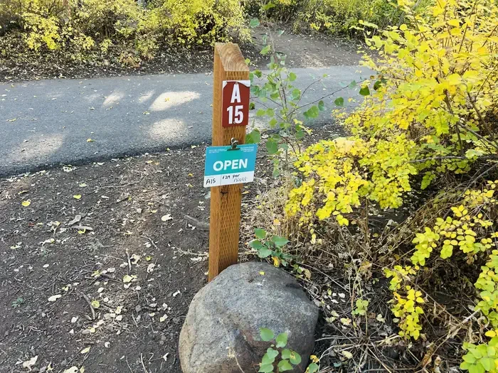 A15