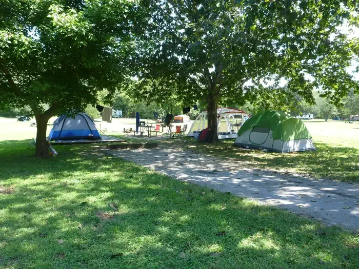 Site# 19
