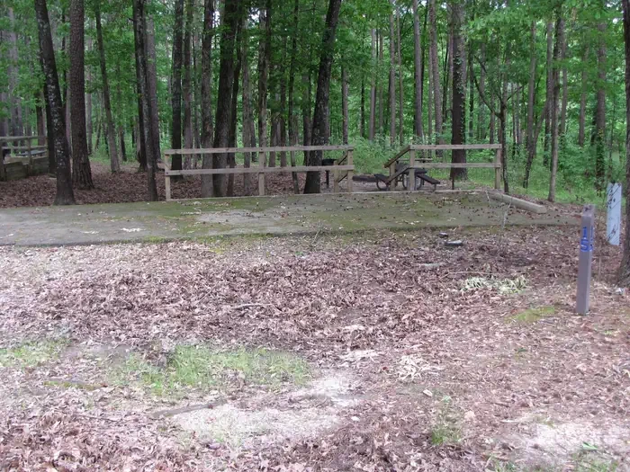 Site 15