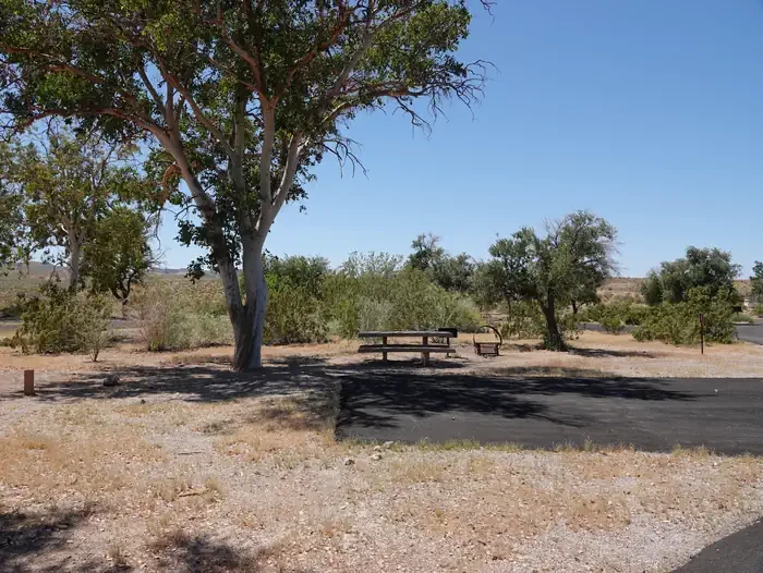 Site 53